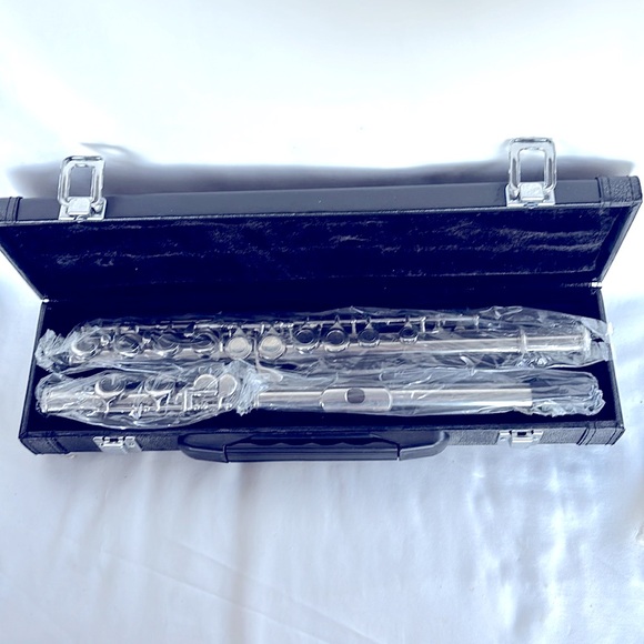 HISONIC SIGNATURE Other - NIB Hisonic Signature Series 2810N Closed 16-Hole Flute